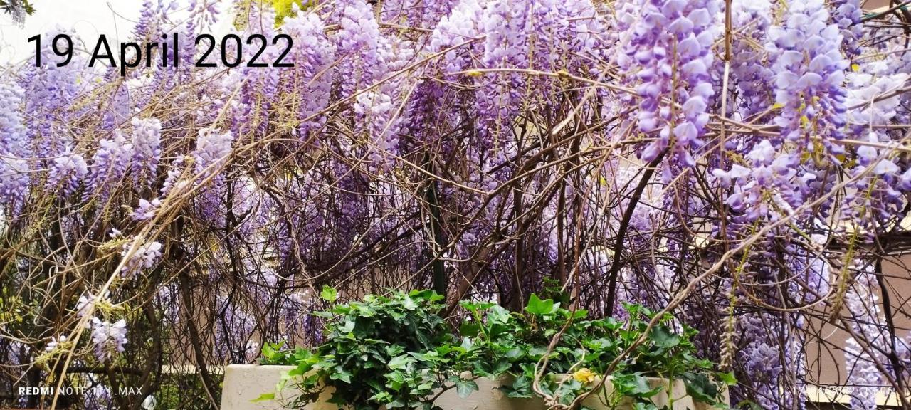 Garden House - Luxury Guest House - Overnight Stay Only Rome Exterior photo